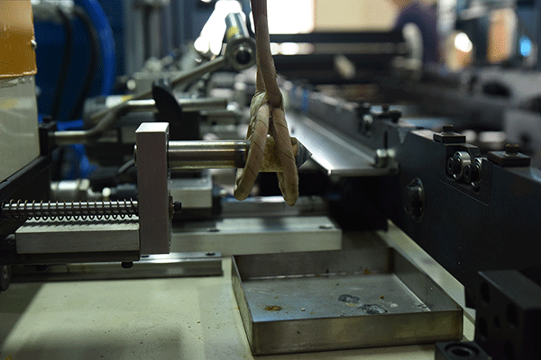 1540436050732375.png DSC_2338.png